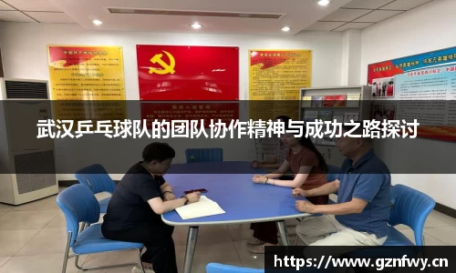 武汉乒乓球队的团队协作精神与成功之路探讨