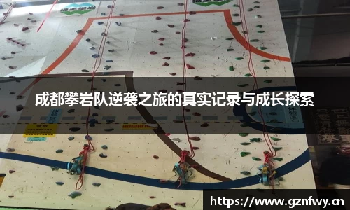 yy易游体育